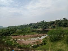 -两江国际影视城