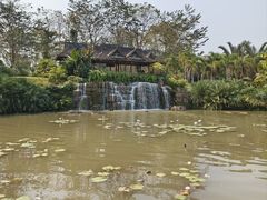 -中国科学院西双版纳热带植物园