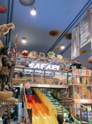-卡通尼·Safari非洲探索乐园·生日会(金桥国际商业广场店)