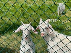 -秦皇岛野生动物园
