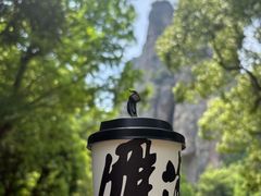 -雁荡山风景名胜区