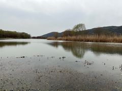 -长广溪湿地公园