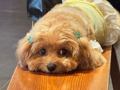 -竹一味·竹筒饭