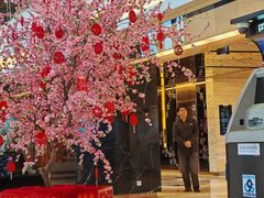 -上海龙之梦万丽酒店