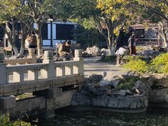 -常熟方塔园