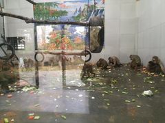 -西安秦岭野生动物园