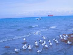 -青海湖国家重点风景名胜区