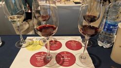 -海航威斯汀酒店·宴会厅