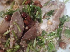 -东鸽皇(奥园·中环广场店)