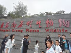 -青藏高原野生动物园
