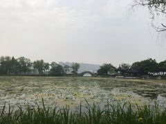 -高子水居