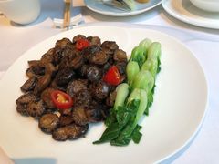 -芙蓉堂(武汉天地店)