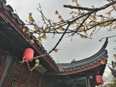 -秋霞圃