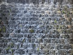 -千年银杏谷文化旅游区