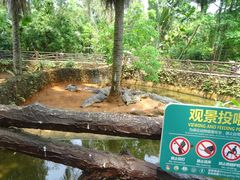 -海南热带野生动植物园