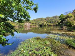 -广州市石门国家森林公园