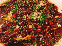 -三猫黑鱼花(南大店)