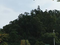-顺峰山公园