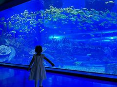 -汉堡王(海昌海洋公园店)