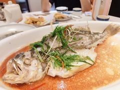 桂花鱼-顺丰轩园林酒家(天河店)