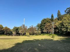 -厦门悦华酒店
