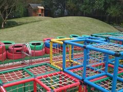 -紫薇实验幼儿园(桂平路校区)