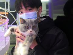 -极木²邸 人与宠物·互动社区