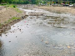 -白河湾生态旅游一条川