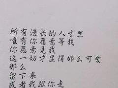 -吃饼人西餐(南开店)