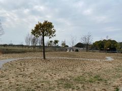 -嘉北郊野公园