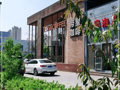 -D STAR COFFEE帝星咖啡