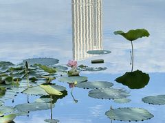 -成都南湖公园