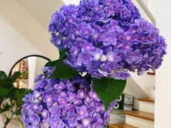 -森野花艺培训·企业团建活动沙龙