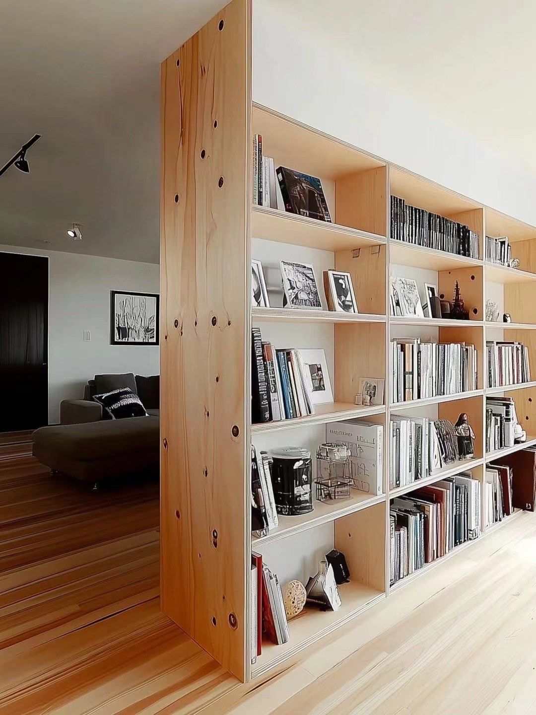 借过道做书架隔断!白送个5m多功能储物间!