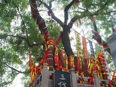 -大槐树寻根祭祖园