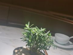 -初蓉丨遇见新川菜(亲贤街荣耀店)