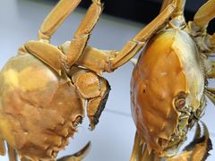 -麦德龙(郑东店)