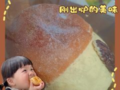 -面包日报