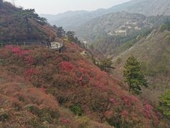 -木兰云雾山