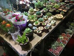 -万商花鸟市场