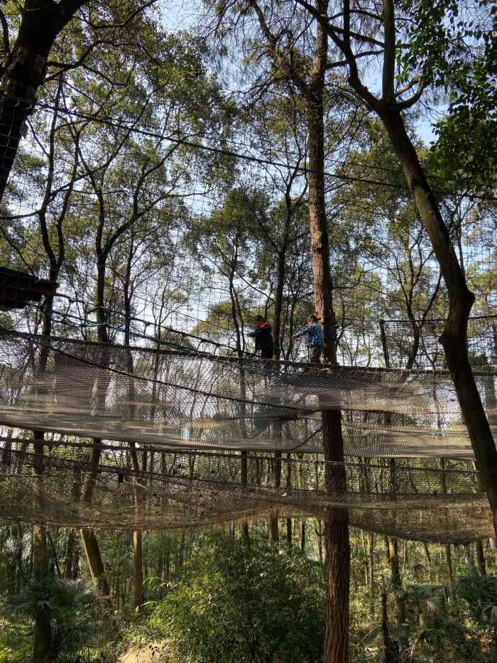 重庆飞越丛林探险乐园图片