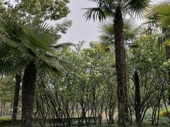 -黄兴公园