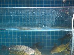 -元银甲·湖北地标美食(汉阳店)