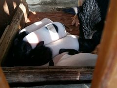 -泉州海丝野生动物世界