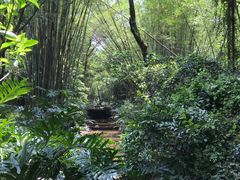 -广州市白云山风景名胜区