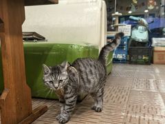 -花园街6号(千禧店)