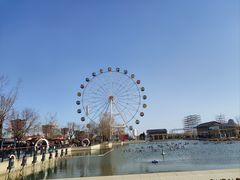 -中华郡文化旅游景区