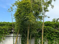 -王阳明故居