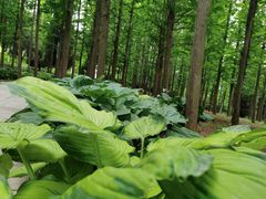 -大连植物园