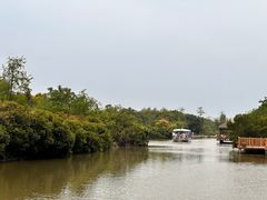 -大湾区中央湿地公园